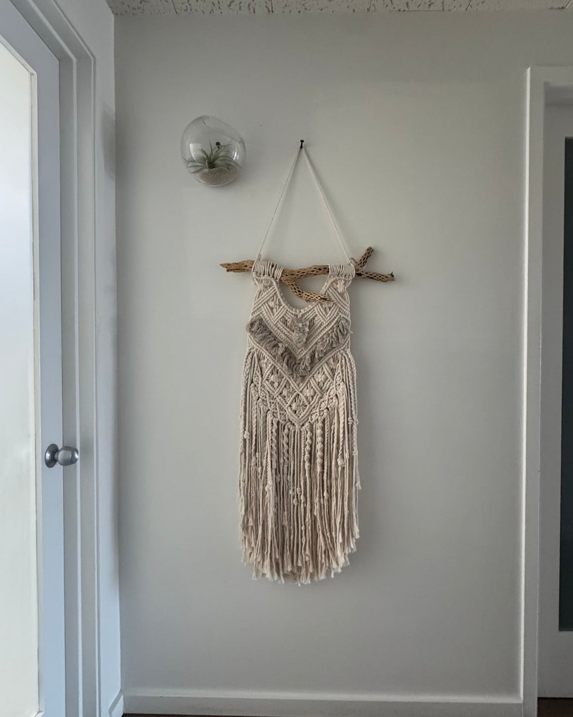 Cholla Macrame v2