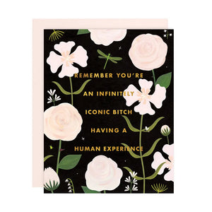 Greeting Cards: All Occasion