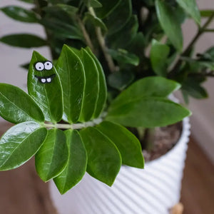 Plant People