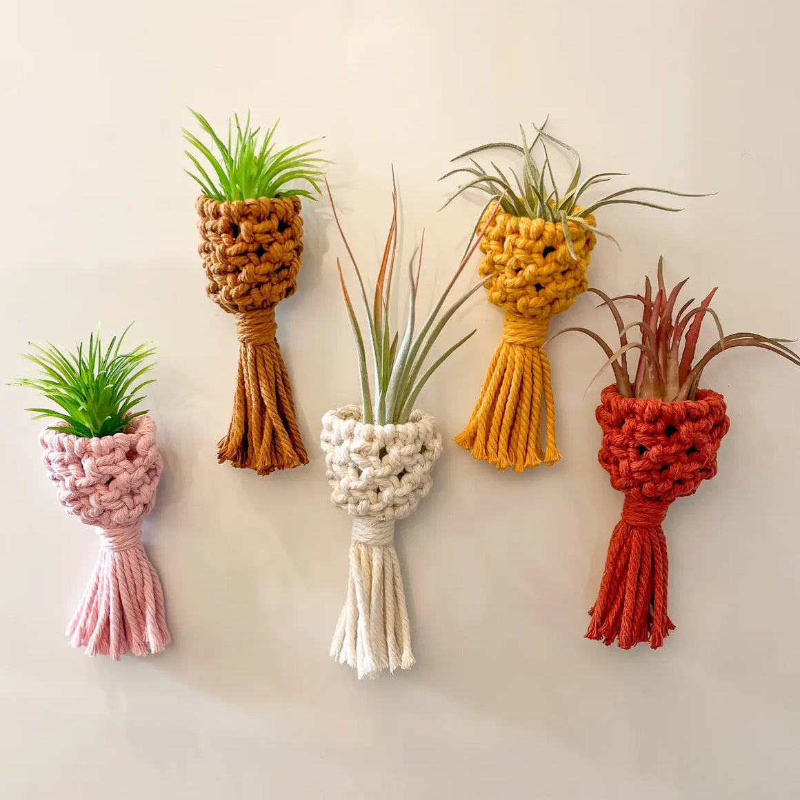 Macrame Air Plant Holder