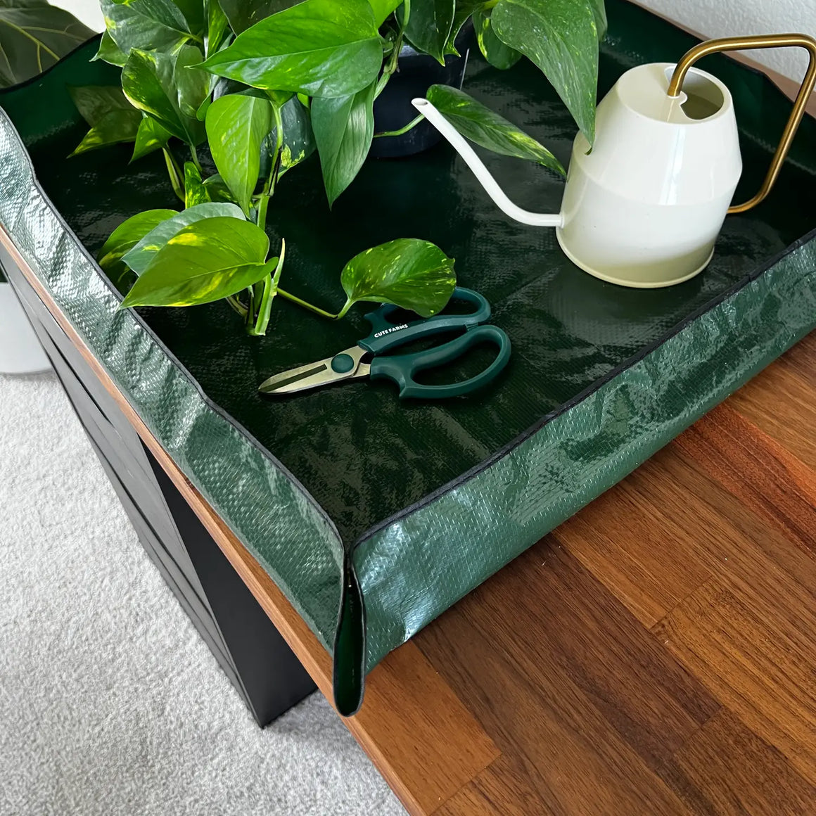 Repotting Mat