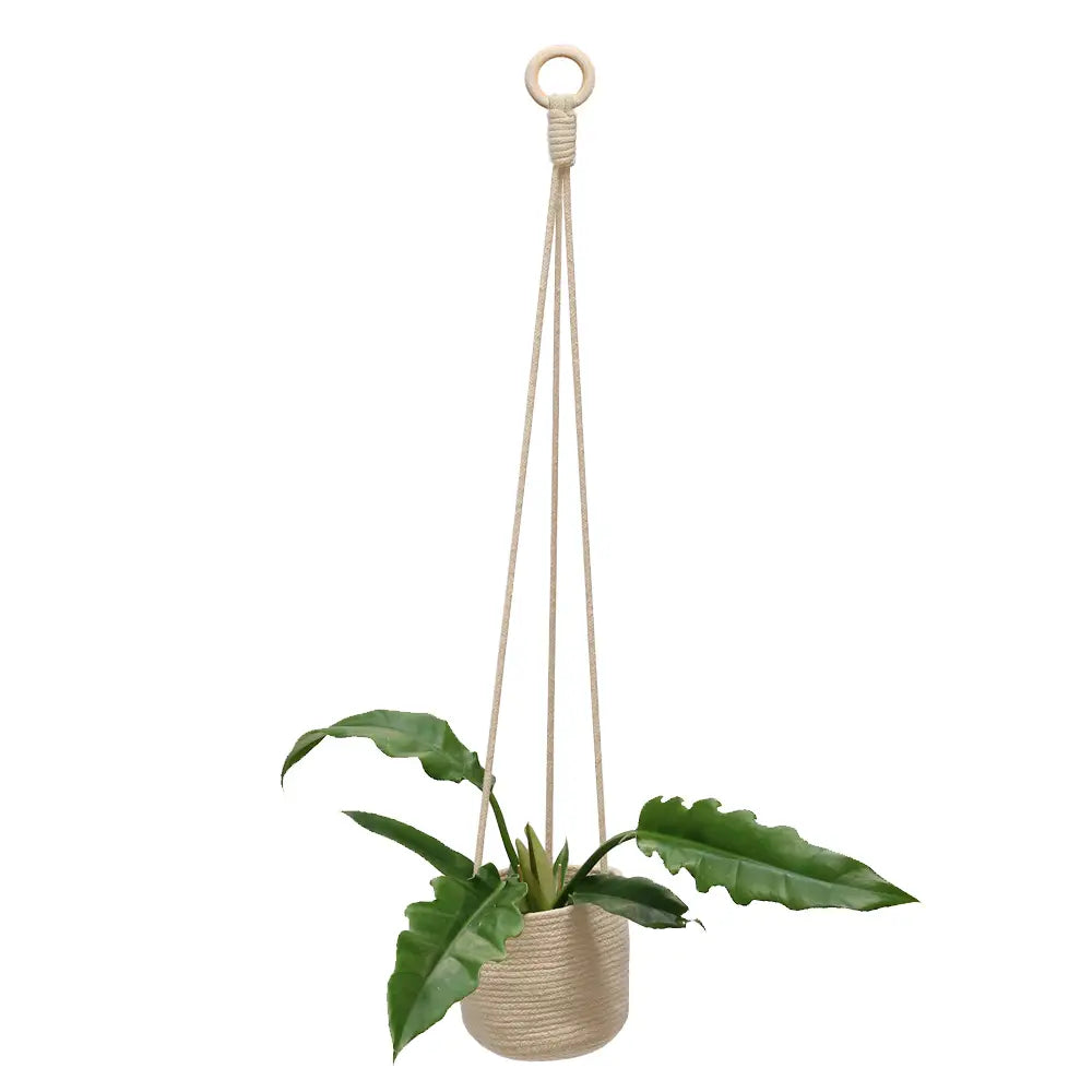 36" Basket Hanging Planter