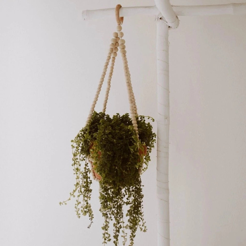 Coffee Wood Beaded Plant Hanger